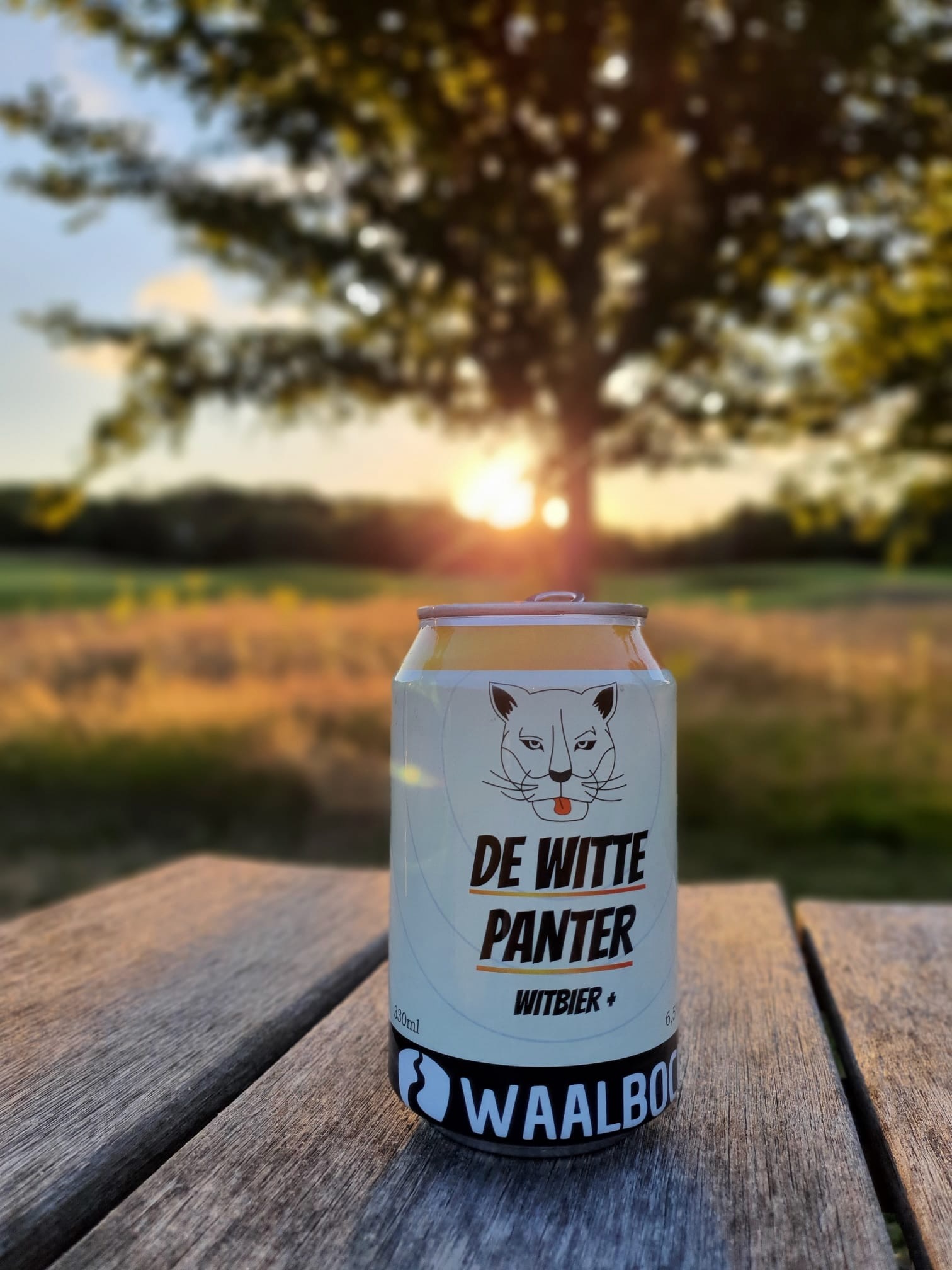 Witte Panter - sunset